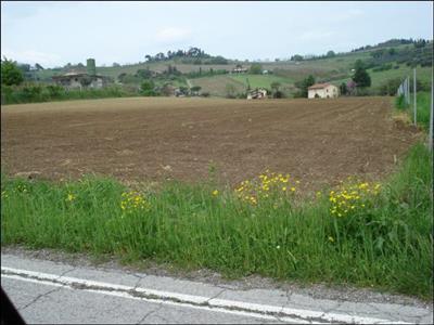 Agricolo a Settecrociari, Cesena