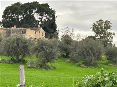 Agricolo - Uliveto a Caltanissetta