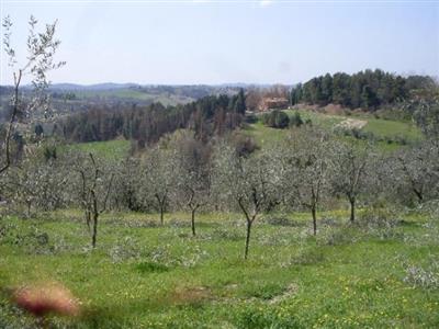Terreno agricolo in buono stato di 34360 mq. a Calenzano