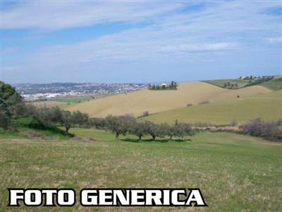 Terreno agricolo in buono stato di 19000 mq. a Calenzano