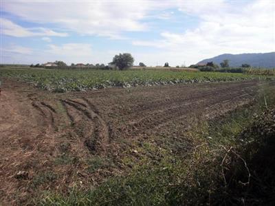 Terreno agricolo in buono stato di 2200 mq. a San Lazzaro