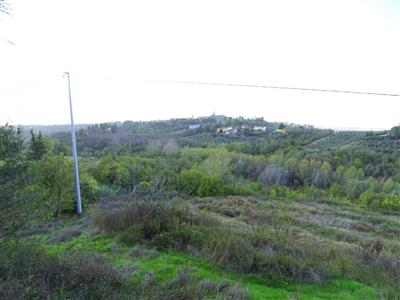 Terreno agricolo in buono stato di 32300 mq. a Calenzano