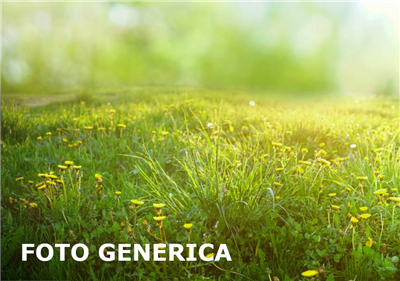 Terreno agricolo in buono stato di 1280 mq. a San Miniato Basso