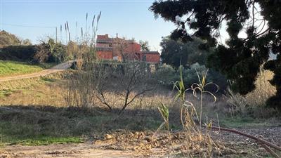 Colonica/casale in buono stato di 317 mq.