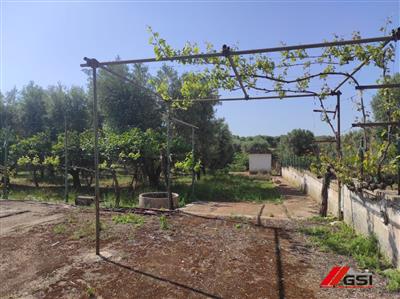 6714906_vendita-rustici-e-casali-brindisi-rif-ca02-rusticolo-con-eqes2gqw.jpeg