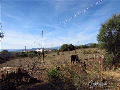 6826127_vendita-terreno-agricolo-sassari-rif-r1294-vendita-terreno-agricolo-wwjmsl4o.JPG