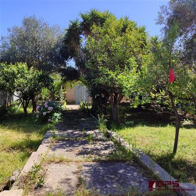 7169064_vendita-case-indipendenti-bari-rif-odb-54-casa-indipendente-con-emoohd0l.jpg