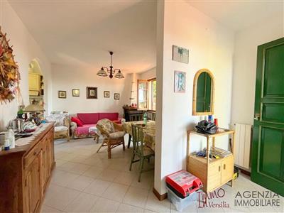 7173349_vendita-ville-lucca-rif-mv206-gualdo-casa-indipendente-con-giardino-nuyekc3b.jpg