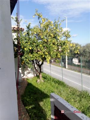 7407520_vendita-appartamenti-messina-rif-nfh-7882-casabianca-3-vani-indipendente-lg5obefn.jpeg