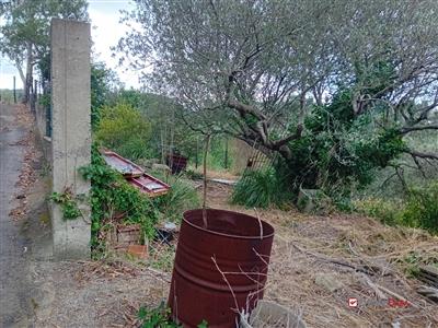 7413201_vendita-terreni-messina-rif-bga-8325-terreno-zona-castanea-con-deposito-2renqtpq.jpg