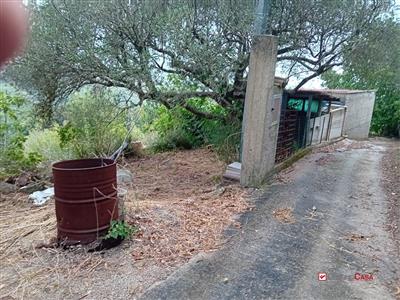 7413201_vendita-terreni-messina-rif-bga-8325-terreno-zona-castanea-con-deposito-cllw5pmq.jpg