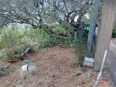 7413201_vendita-terreni-messina-rif-bga-8325-terreno-zona-castanea-con-deposito-xpdd7xjr.jpg