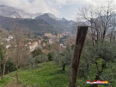 7439688_terreni-massa-carrara-rif-7ct-carrara-terreno-agricolo-igovlrp8.jpeg