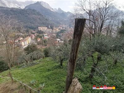 7439688_terreni-massa-carrara-rif-7ct-carrara-terreno-agricolo-pgpy7xcu.jpeg