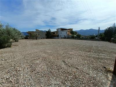 7449361_affitto-terreni-agricoli-palermo-rif-lsr-22-terreno-per-ja4ccaoa.jpg