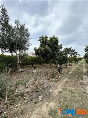 7655023_vendita-terreni-agricoli-palermo-rif-zbf-1347-villagrazia-via-eagj1vrf.jpeg