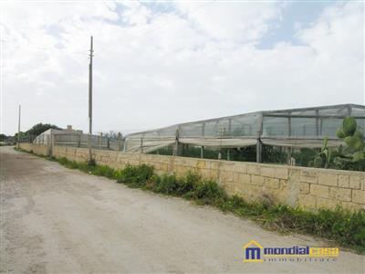 7659592_vendita-terreni-agricoli-siracusa-rif-isola-guardiani-8dkyfwri.JPG