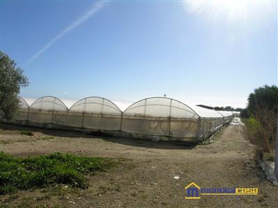 7711410_vendita-terreni-agricoli-siracusa-rif-chiusa-mulino-chiusa-mulino-reyxzkn3.JPG