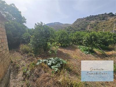 Terreno agricolo in vendita a Reggio di Calabria Oliveto