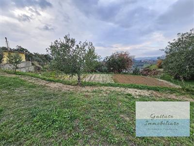 Terreno agricolo in vendita a Reggio di Calabria Aretina