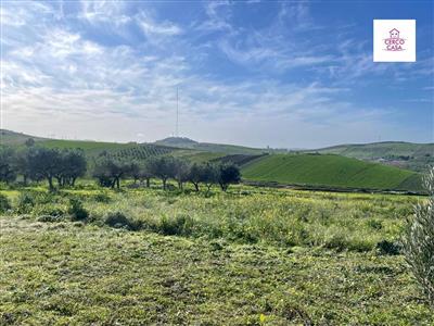 Terreno agricolo in vendita a Trapani Periferia