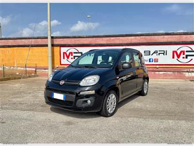 FIAT PANDA EASY GPL 1.2 69CV