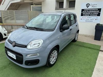 FIAT Panda 1.2 Lounge Berlina (03/2019)