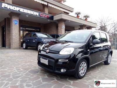 FIAT Panda 1.0 FireFly S&S Hybrid City Car (04/2023)