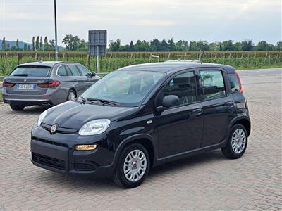 FIAT New Panda 0.9 TwinAir Turbo Natural Power Lounge Due Volumi (01/2014)