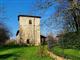 Indipendente - Villa a Ronco Campo Canneto, Sissa Trecasali