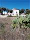 Agricolo - Pascolo a Arenella-Plemmirio, Siracusa