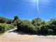 Agricolo - Seminativo a Porto Santo Stefano - Zona Panoramica, Monte Argentario