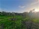 Terreno agricolo in buono stato di 4730 mq. a Cerretti