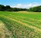 Terreno agricolo in buono stato di 7440 mq.