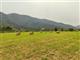 Terreno agricolo in buono stato di 17000 mq.