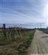 Terreno agricolo in vendita a Cerignola ZONA  