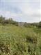 Terreno agricolo in vendita a Erice Napola