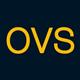 Sales Assistant OVS (Biella)