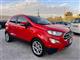 FORD EcoSport 1.5 Ecoblue 95 CV S&S TITANIUM