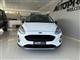 FORD Fiesta Active 1.0 Ecoboost 100 CV