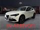 ALFA ROMEO Stelvio 2.2 T.diesel 210 CV AT8 Q4 Ti