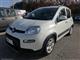 FIAT Panda 1.0 FireFly S&S Hybrid Red