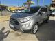 FORD EcoSport 1.5 Ecoblue 100 CV S&S Business