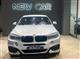 BMW X6 xDrive30d 249CV