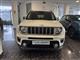 JEEP Renegade 1.6 Mjt 120CV S