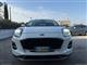 FORD Puma 1.0 EcoBoost Hyb. 125 CV Tit.