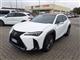 LEXUS UX Hybrid 4WD Design fuoristrada (12/2022)