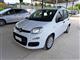 FIAT Panda 1.0 firefly hybrid s&s 70cv 5p.ti Berlina (02/2021)