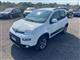 FIAT New Panda 1.3 MJT S&S 4x4 Antartica Due Volumi (10/2014)