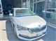 SKODA SCALA 1.0 tsi Ambition 95cv Berlina (09/2020)